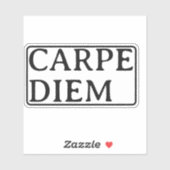 Carpe Diem latin quote sticker (Vel)