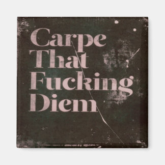 Carpe diem magneet