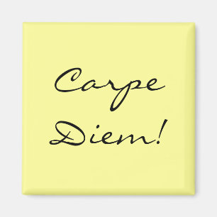 Carpe Diem magnet Magneet
