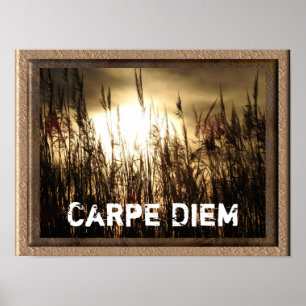Carpe Diem - poster afdrukken
