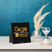 Carpe Diem 'saisir la journée' Plaque (Insitu)