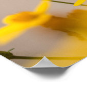 Carpe Diem Seize the Day Poster (Hoek)