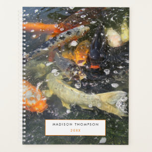 Carpe japonaise Koi Poisson Nager Bonne chance