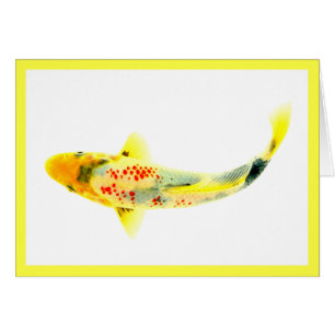 Carpe Koï Jaune