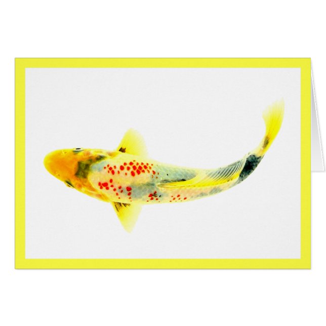 Carpe Koï Jaune (Devant horizontal)