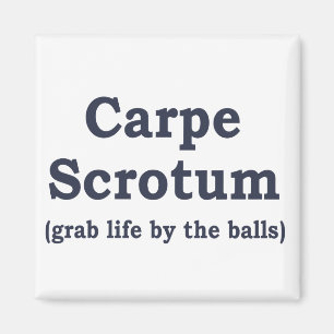Carpe Scrotum Magneet