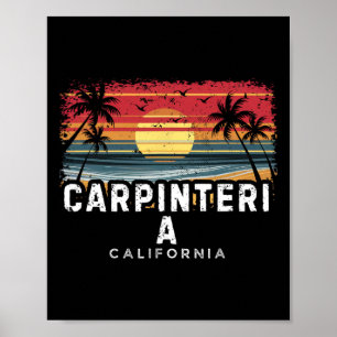 Carpinteria Beach Californië Surfplank Strand Poster