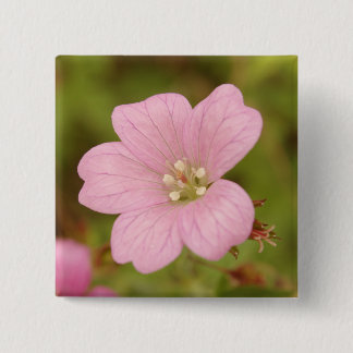 Carré 5 Cm Badge Géranium Rose