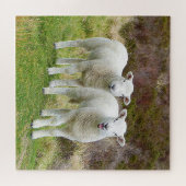 Carré agneaux jumeaux Puzzle (Horizontal)