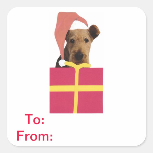 Carré Airedale Terrier Tags-Cadeaux À et De Sticker (Devant)