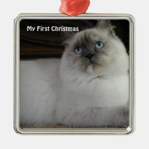 Carré Argenté Chat d'argent Mon premier ornement photo de Noël