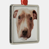 CARRÉ ARGENTÉ ORNEMENT BRINDLE PIT BULL (Droite)