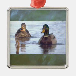Carré Argenté Ornement Canards Colverts