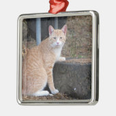 Carré Argenté Ornement de chat Tabby Orange (Gauche)
