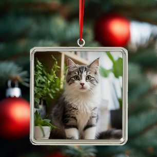 Carré Argenté Ornement de chats doux