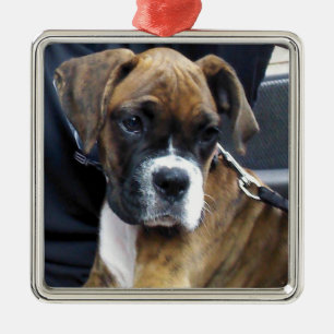Carré Argenté ornement de CHIOT BOXER