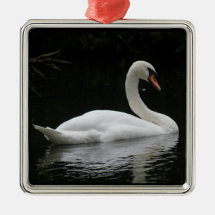 Carré Argenté Ornement de cygne blanc gracieux