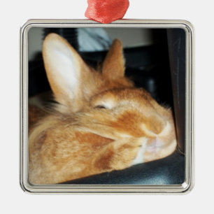 Carré Argenté Ornement de sourire désapprobateur de lapin