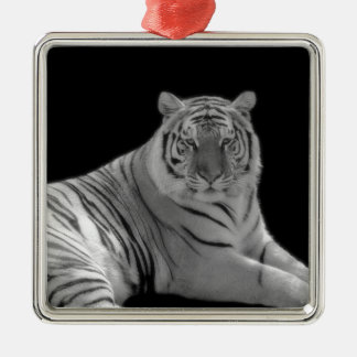 Carré Argenté Ornement de tigre blanc