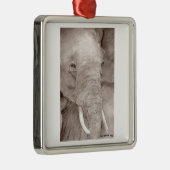 Carré Argenté ornement éléphant (Droite)