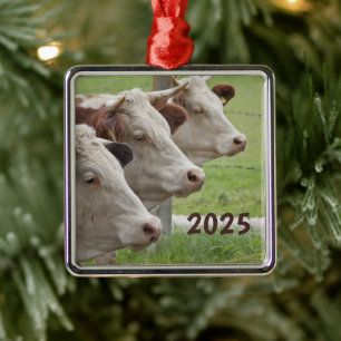 Carré Argenté Trois vaches dans un ornement de rangée