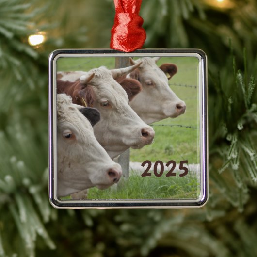 Carré Argenté Trois vaches dans un ornement de rangée (Arbre)