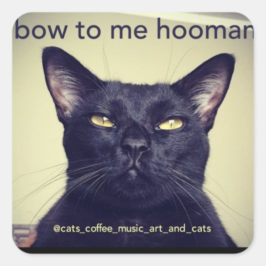 Carré Batcat : arc à moi hooman Sticker (Devant)