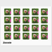 Carré Beau Sticker Papillon (Feuille)