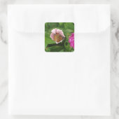 Carré Beau Sticker Papillon (Sac)