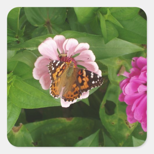 Carré Beau Sticker Papillon (Devant)