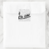 Carré Bébé Chouette de crayon Sticker (Sac)