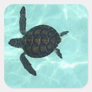 Carré Bébé Sticker de tortue de mer