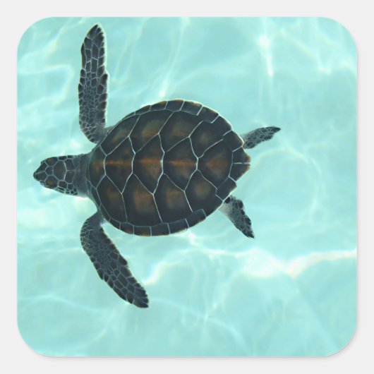 Carré Bébé Sticker de tortue de mer (Devant)