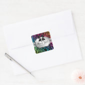 Carré Bijoux Sticker Zebra Rainbow Salon (Enveloppe)