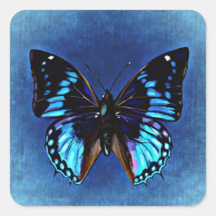 Carré Bleu sur Bleu Sticker Papillon