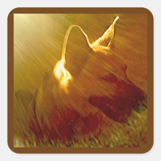 Carré Brille Sur Moi Berger Allemand Sticker #1 (Devant)