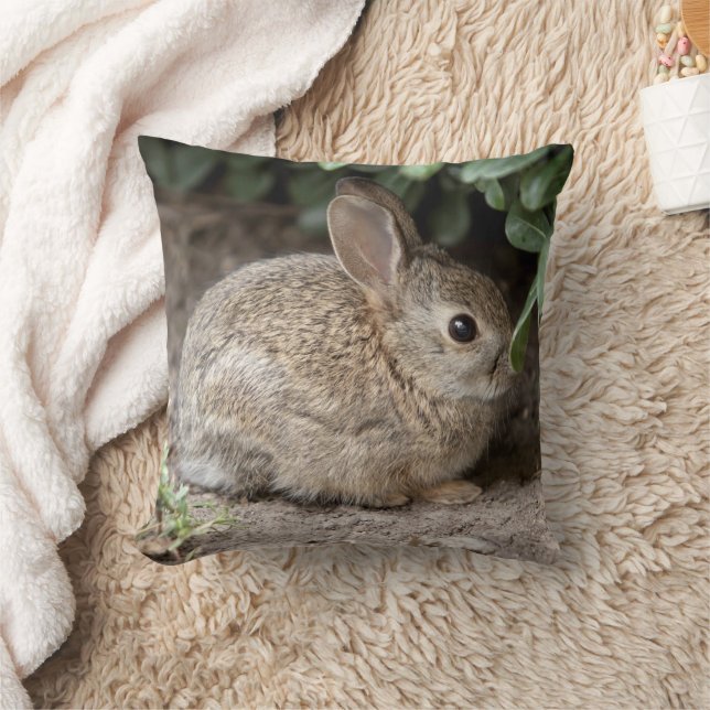 Carré Bunny Coussin (Couverture)