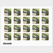 Carré California Scrub Jay - Sticker (Feuille)