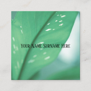 Carré Carte de visite de feuilles de plante vert pâle de