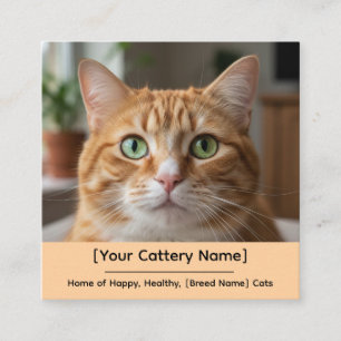 Carré Carte de visite personnalisable pour chatterie ave
