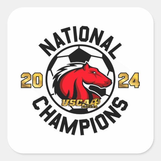 Carré Champions nationaux 2024 - Sticker 2 (Devant)
