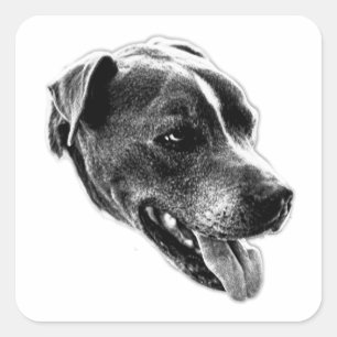 Carré Charming Smile Pitbull Mix Art Sticker