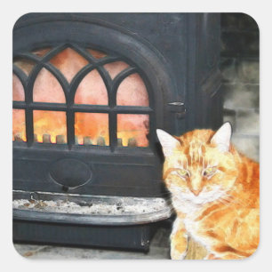 Carré Chat Cosy Par Le Sticker Fire