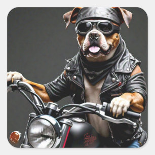 Carré Chien de boîte sur Sticker de moto