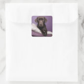 Carré Chocolat Brown Labrador Retriever Sticker chien (Sac)