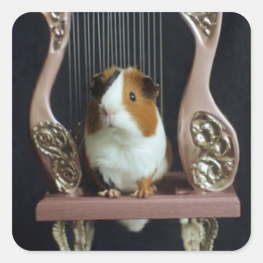 Carré Cute Guinea Pig Harp Sticker (Devant)