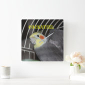 CARRÉ de fermeture COCKATIEL horloge (Maison)