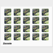 Carré Dragonfly Sticker (Feuille)