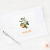 CARRÉ ENVELOPE SEAL STICKER : BITTER ORANGE BLOSSOM (Enveloppe)