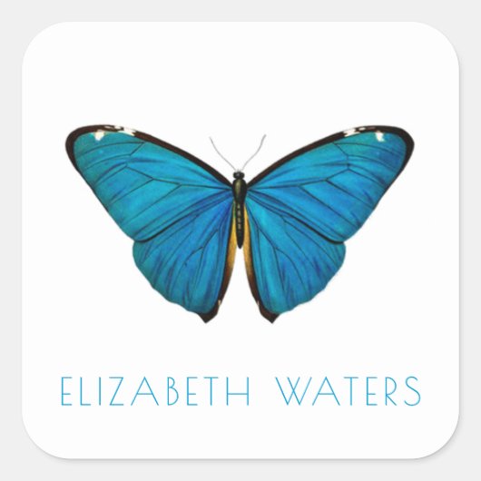 CARRÉ ENVELOPE SEAL STICKER : BLEU BUTTERFLY (Devant)